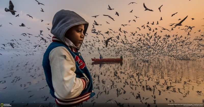 Découvrez les gagnants du concours National Geographic 2019 et leurs images impressionnantes 