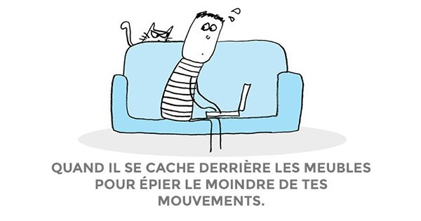 Votre chat fait-il partie d'un commando qui vous surveille très attentivement ?