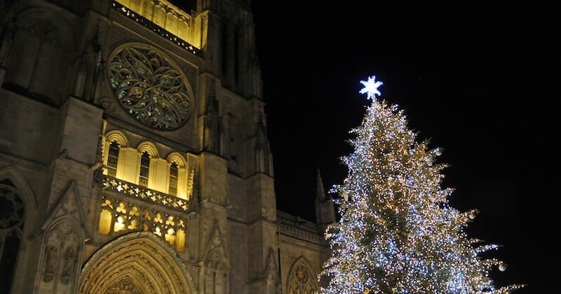 Bordeaux : le maire écolo enlève les sapins des décorations de Noël, refusant de « mettre des arbres morts » dans la ville