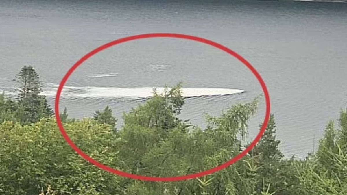  Une photo troublante relance le mythe sur le monstre du Loch Ness