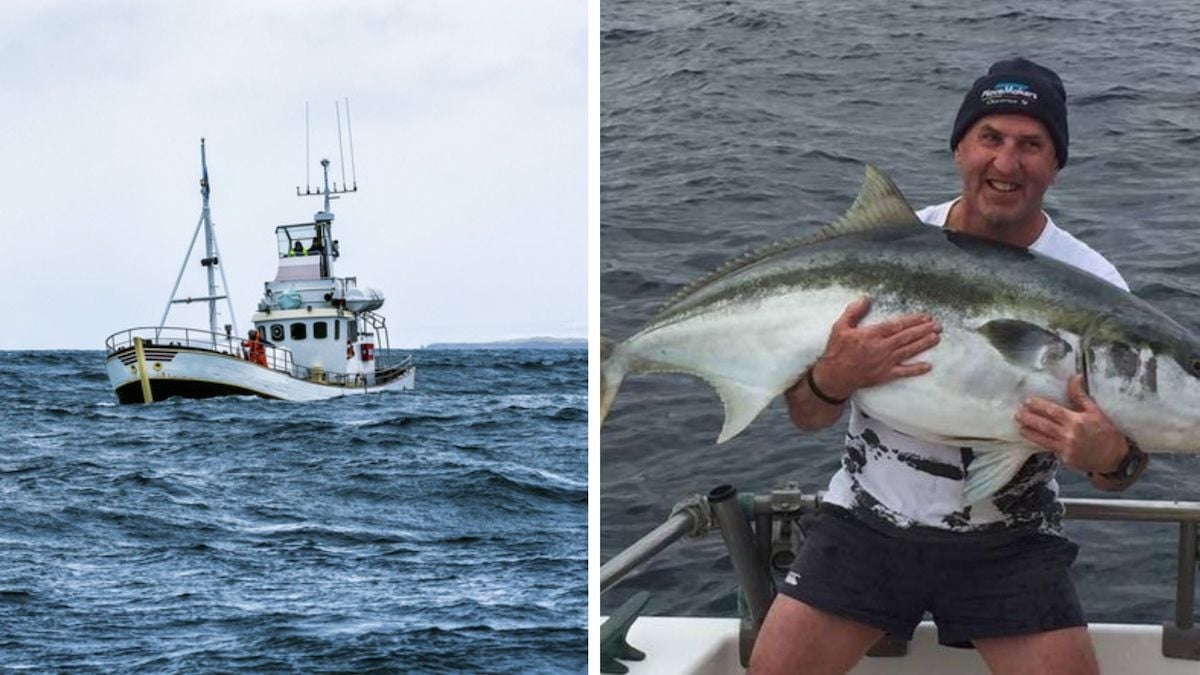 Malgré la présence de requins, il survit 24h en mer et doit son salut... à sa montre !