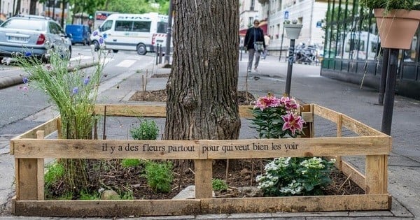 Une nouvelle loi permet aux Parisiens de se lâcher et de faire preuve d'imagination pour avoir leur propre jardin : végétalisons la capitale !