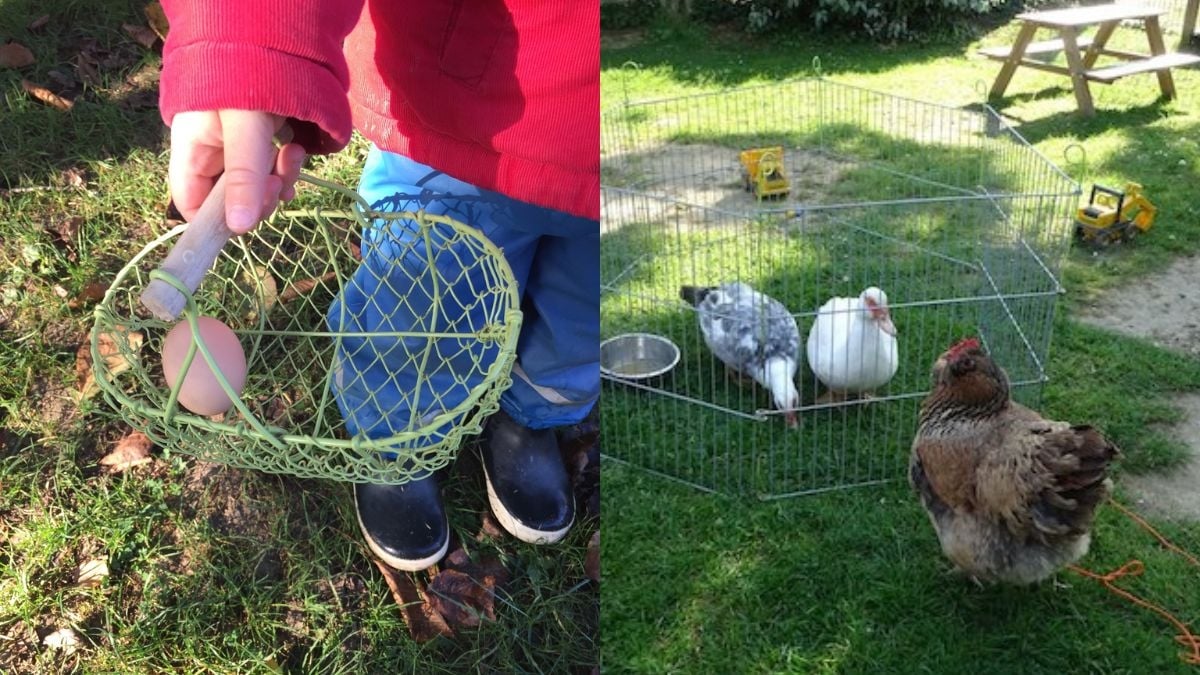 Les poules et les enfants vivent côte à côte dans cette crèche pas comme les autres