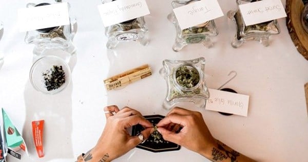 Pour leur mariage, ils remplacent le champagne par du cannabis ! Les invités étaient contents…