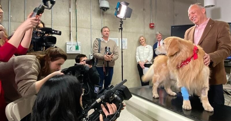 Cet homme achète une annonce du Super Bowl de 6 millions de dollars pour remercier les vétérinaires qui ont sauvé son chien du cancer