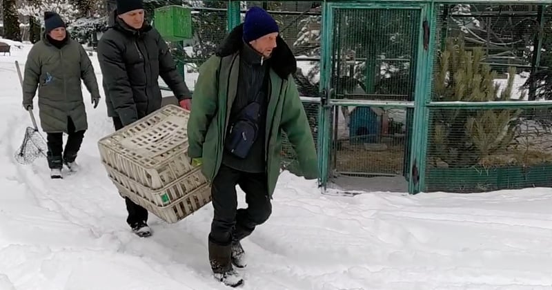 Ukraine : deux soigneurs qui avaient refusé d'abandonner les animaux d'un zoo ont été retrouvés morts