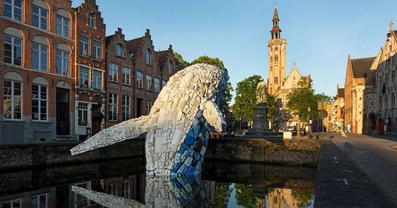 Cette baleine de 11,5 mètres exposée à Bruges a été exclusivement réalisée avec des déchets des océans