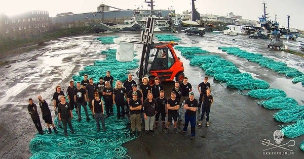 L'idée révolutionnaire d'Adidas pour nettoyer les océans tout en créant des baskets ! Un vrai progrès l'environnement...