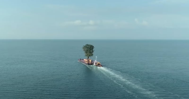 Depuis des années, ce milliardaire transporte des arbres par bateau pour enrichir son jardin personnel