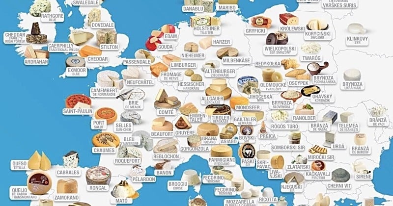 Les fromages les plus populaires du monde à découvrir à travers cette carte interactive