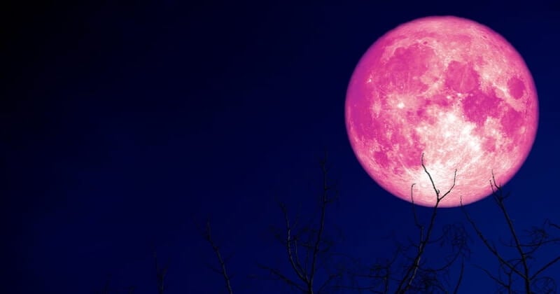 Ce soir, ne loupez pas la super Lune des Fraises, la dernière super Lune de l'année 