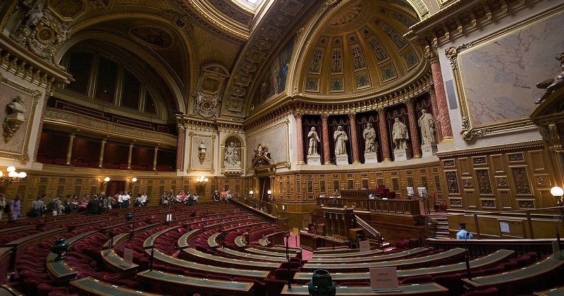 Le Sénat a voté en faveur de l'interdiction des « thérapies de conversion »	
