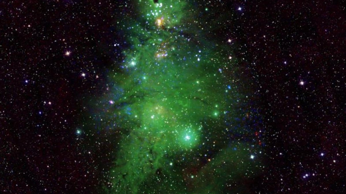 La Nasa dévoile une image incroyable d'un amas d'étoiles en forme de sapin de Noël 