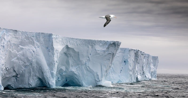 Un immense iceberg se détache en Antarctique mais le phénomène n'est pas dû au réchauffement climatique