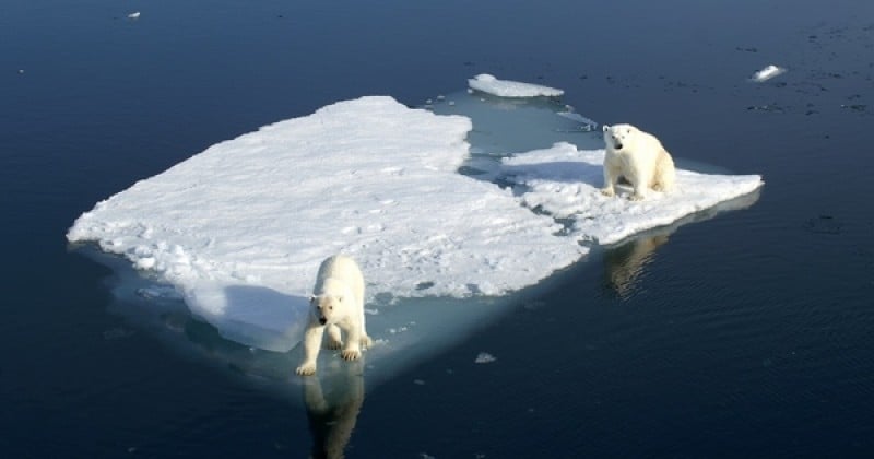 Alerte rouge : la planète va mal, et tous les compteurs du réchauffement climatique s'affolent