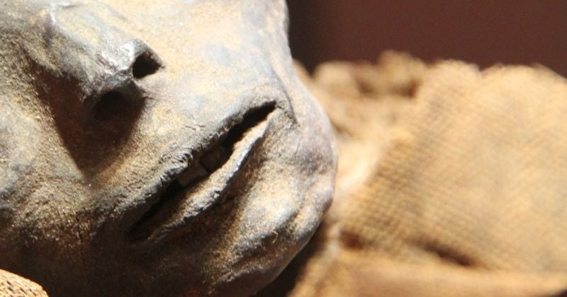 This mummy discovered dates back 8000 years, and it will be the oldest ever