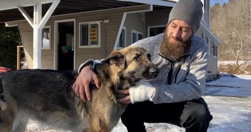 Une chienne mène la police à son propriétaire blessé après un accident de voiture