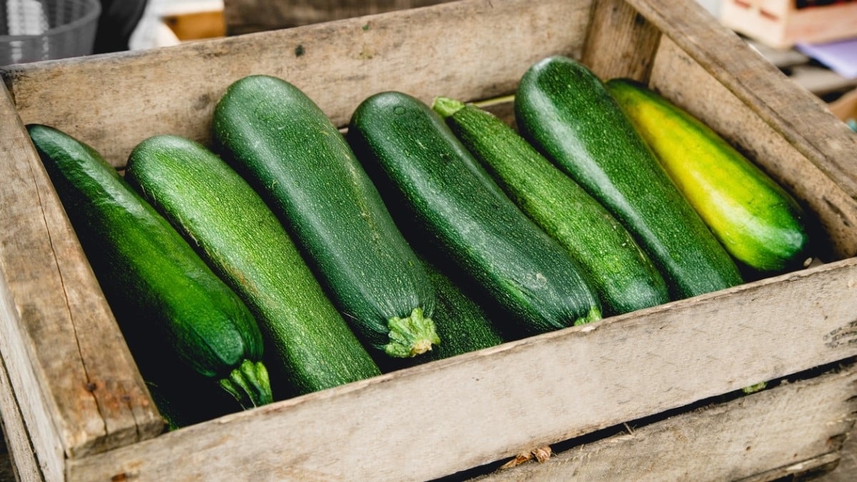 1 jeune Français sur 5 ne sait pas différencier un concombre d'une courgette, selon une étude