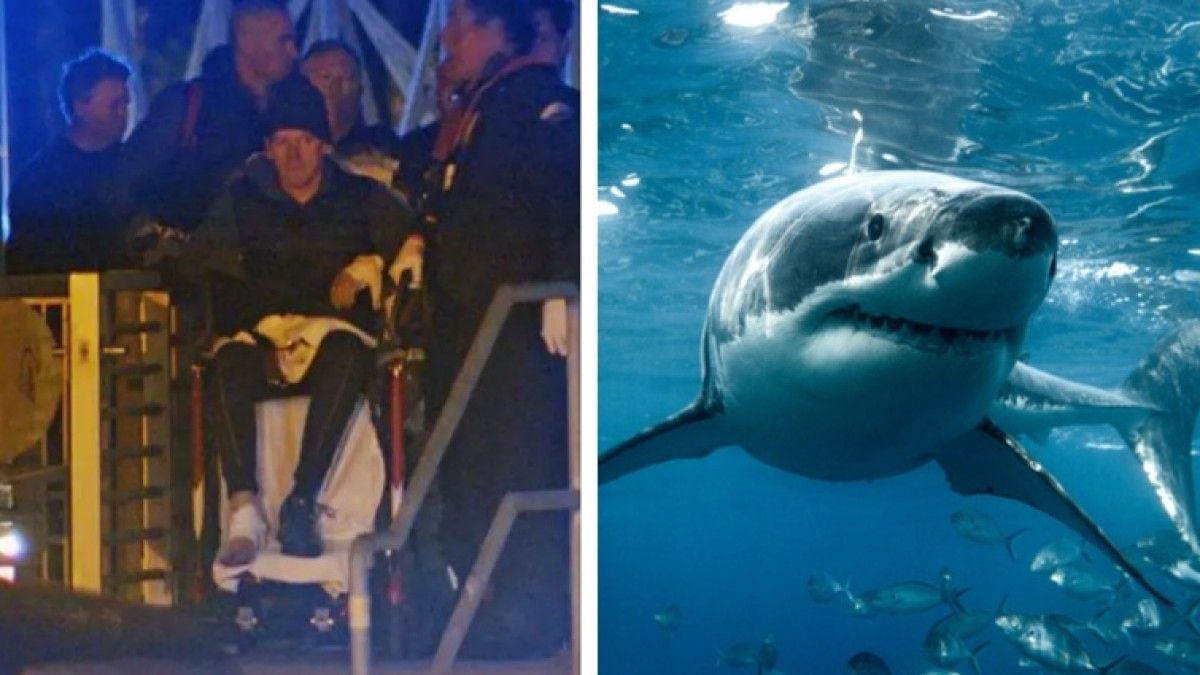 Un nageur survit à une impressionnante attaque de requin après avoir été mordu aux jambes et aux pieds