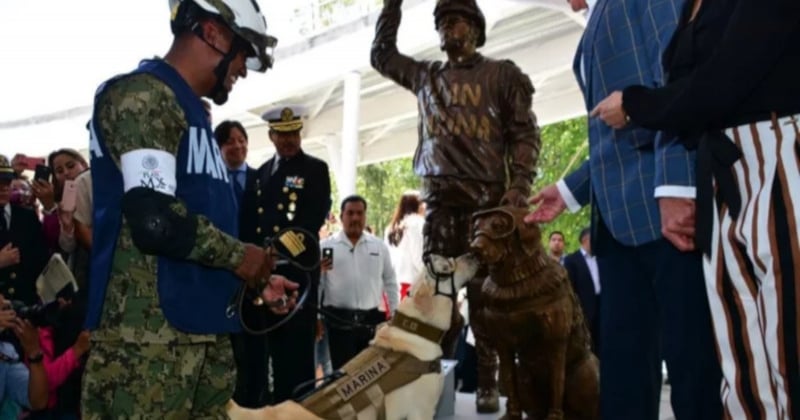 Ce chien a reçu une statue à son effigie pour avoir sauvé 12 personnes pendant un tremblement de terre 