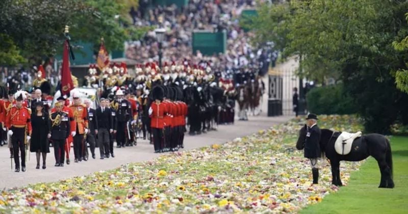 L'image du poney préféré d'Elizabeth II, qui regarde le passage du cortège funéraire de la Reine, est bouleversante