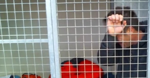 Rémi Gaillard, enfermé dans une cage de la SPA pour faire adopter des animaux, est « au bout du rouleau » mais réussit son pari en récoltant plus de 145 000 euros de dons !