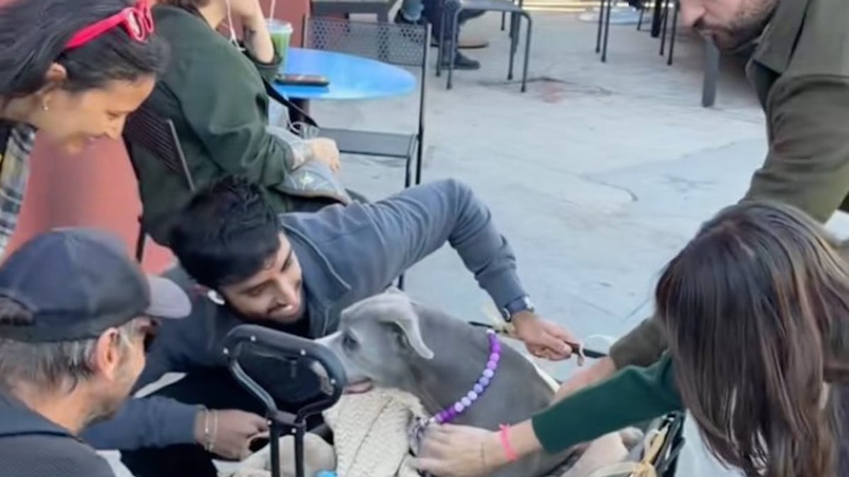 Capture d'écran TikTok