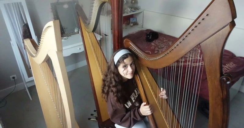 Francis Cabrel a offert sa harpe à une jeune musicienne de 12 ans qui jouait sur les marchés