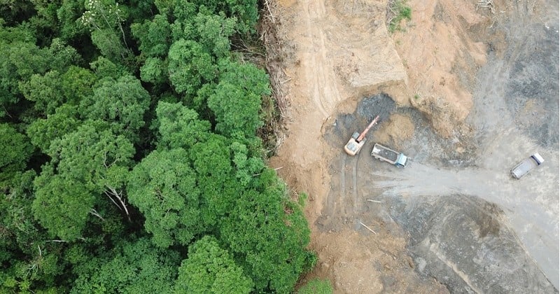 La forêt amazonienne détruite peu à peu, des zones de la taille « d'un terrain de football » sont perdues chaque minute 