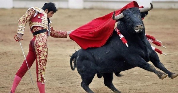 Après cinq ans de lutte juridique, la corrida est éjectée du patrimoine culturel immatériel de la France... Une belle victoire « contre la barbarie » !