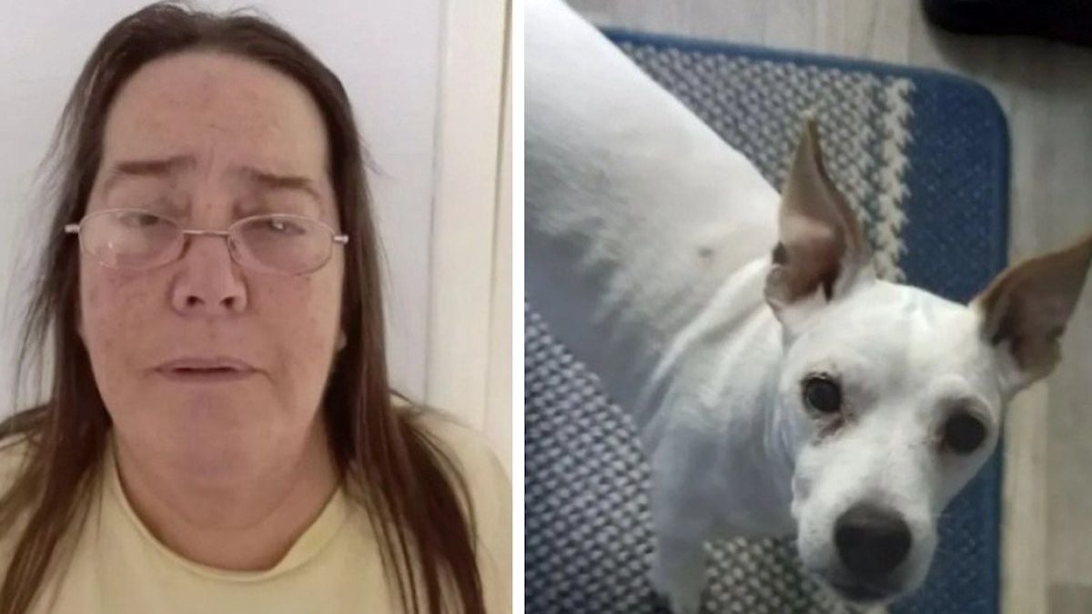 « Je ne voulais pas perdre mon appartement » : elle euthanasie son chien adoré après que son voisin se soit plain qu'il aboyait trop