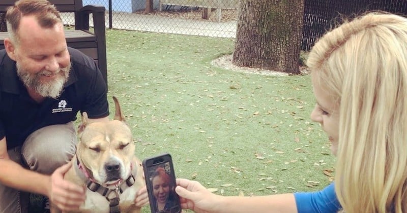 Trois ans après l'avoir perdu, elle retrouve son chien grâce à une canette de bière