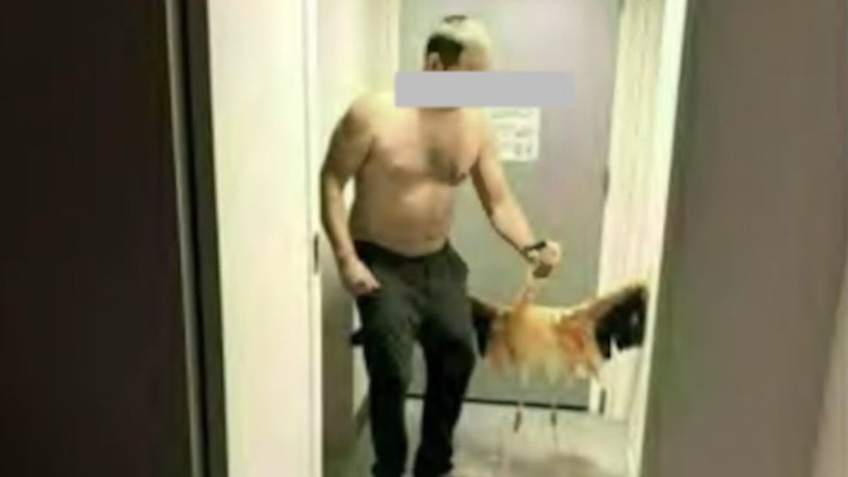 Capture d'écran montrant le touriste attraper le flm