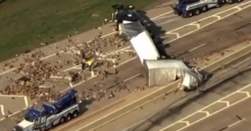 Une autoroute américaine bloquée pendant plusieurs heures à cause de centaines de sextoys éparpillés sur la route 