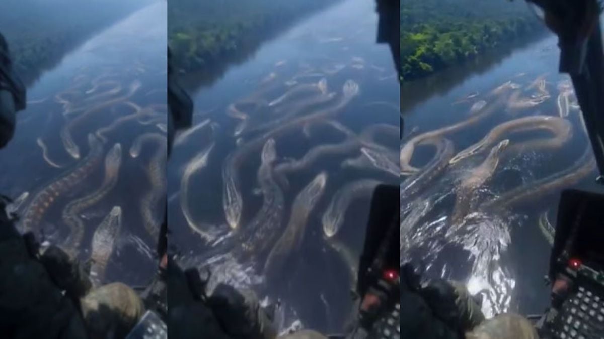 Des anacondas de 30 mètres dans une rivière, une vidéo générée par l'IA