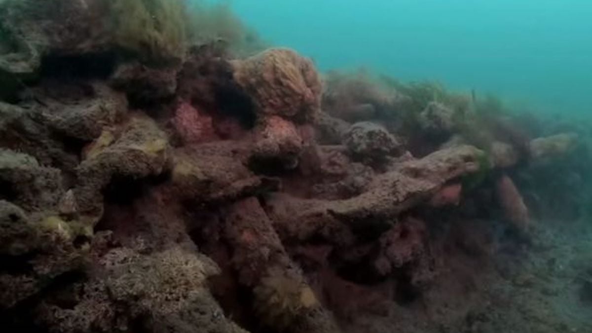 Des archéologues découvrent une ville inondée, vieille de 8000 ans, sous la Manche