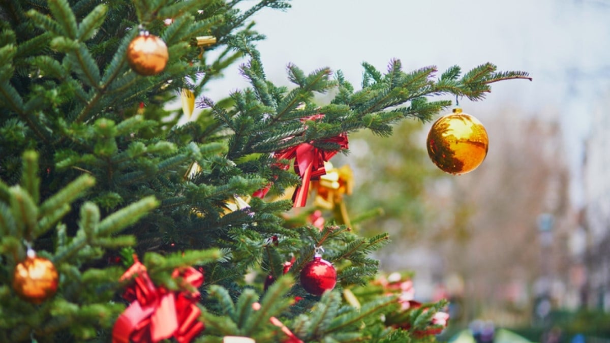 À Chamonix, il vole un sapin de Noël pour une raison particulière avant de le rendre à ses propriétaires