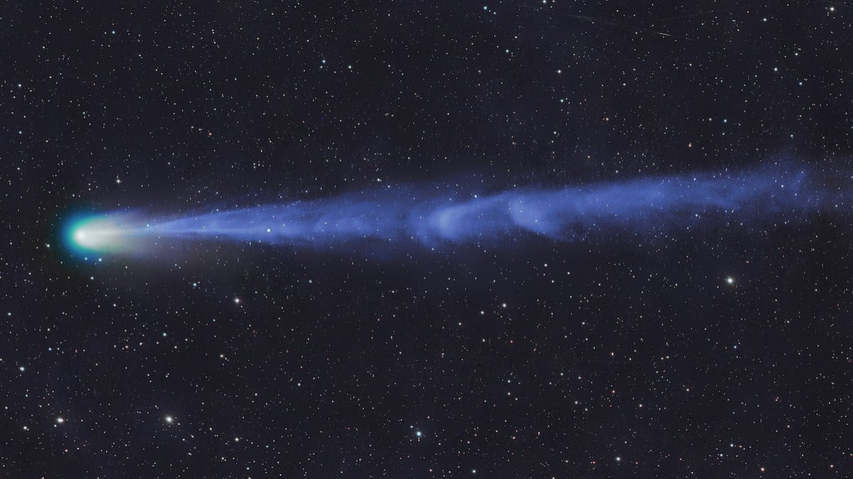Cette comète géante, qui ne passe que tous les 71 ans, est désormais visible dans le ciel 
