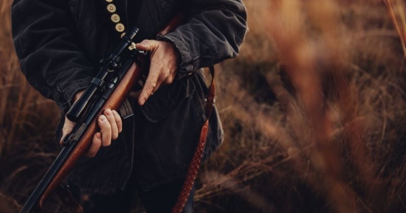 Un chasseur abat un berger allemand et dit l'avoir confondu avec un sanglier