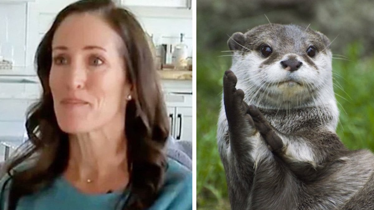 Erin Hogston / Une loutre 