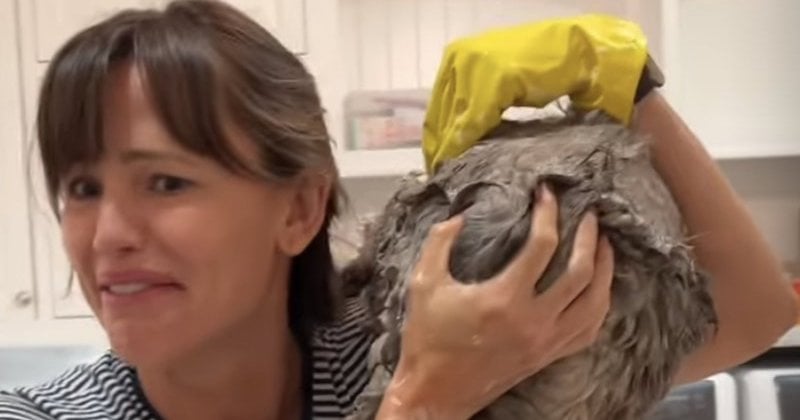 Jennifer Garner se fait attaquer par son chat lors d'un toilettage dans une vidéo qui fait le buzz