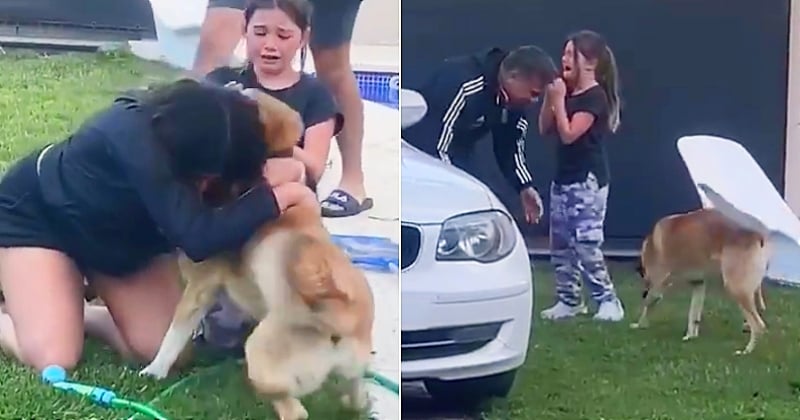 El reencuentro entre este perro que estuvo perdido por 2 meses y su familia es conmovedor