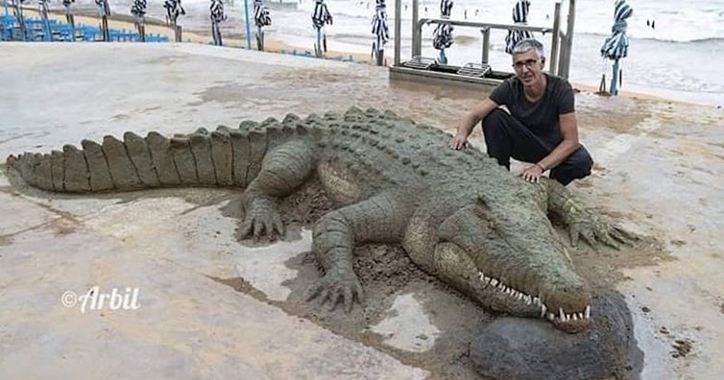 Incroyablement réalistes, ces sculptures de sable donnent l'impression de ramper sur le rivage