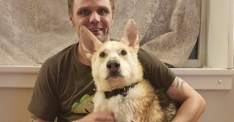 Il récupère son chien à 450 kilomètres de chez lui, 8 ans après sa disparition, pour des retrouvailles très émouvantes	