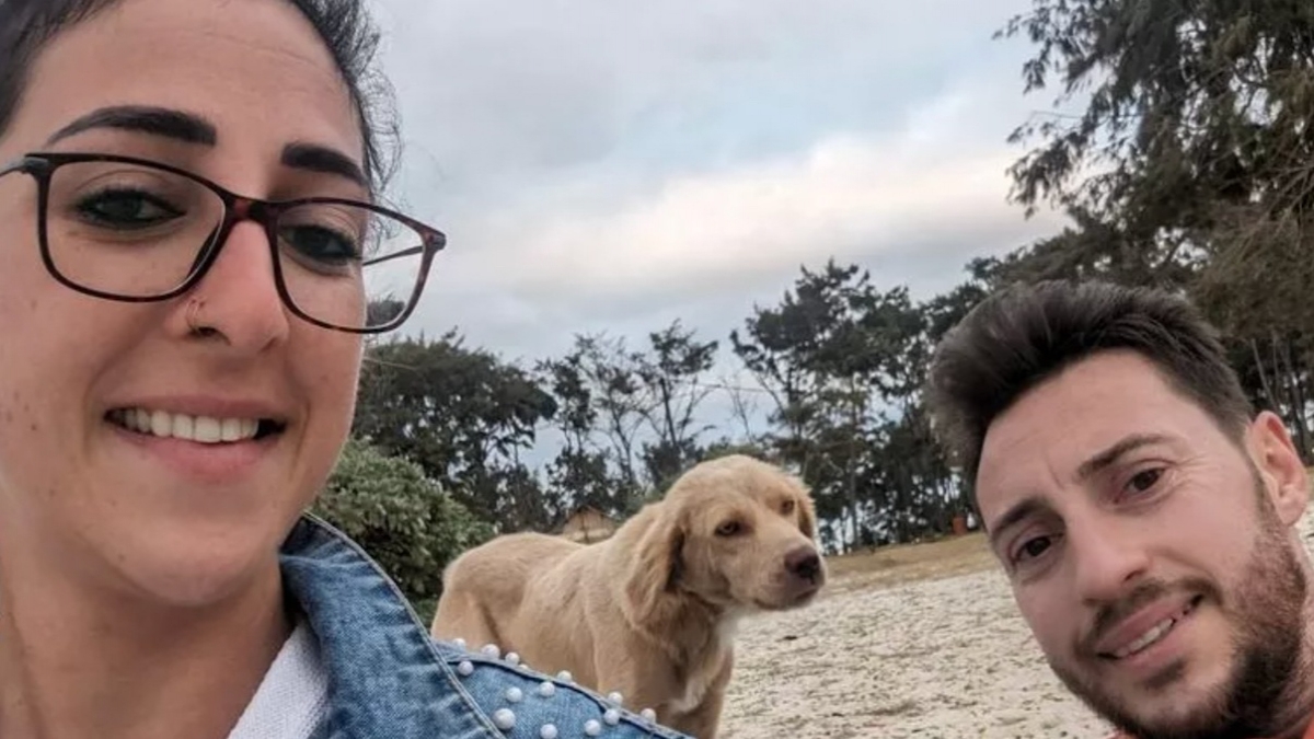 Un couple britannique se démène pour adopter une chienne errante trouvée à l'île Maurice 