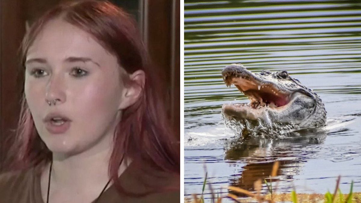 Summer Hinote / Alligator dans l'eau 