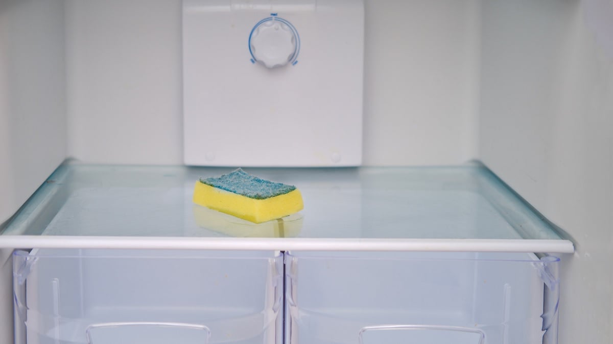 Voici pourquoi vous devez absolument mettre une éponge dans votre frigo