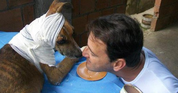 Il a trouvé ce chien, qui était vraiment dans un état des plus critiques... Et en pansant ses plaies, une formidable amitié est née !