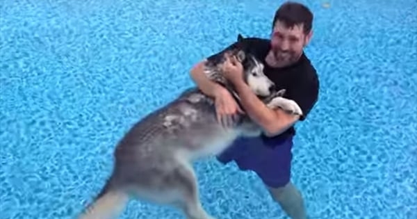 Son chien était sur le point de mourir, mais il ne s'est pas laissé abattre ! Ce qu'il a fait est vraiment beau...