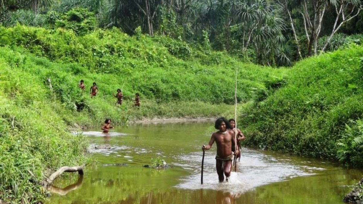 Vivant en autarcie sur une île isolée, cette tribu qui refuse tout contact avec la civilsation est aujourd'hui menacée